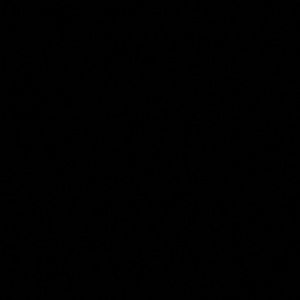 Meet your Posher, Ricardo